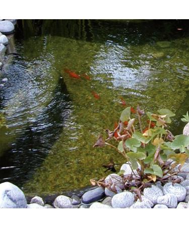 Ubbink Pond Gravel 10 kg Pond Soil Pond Decoration Pond Soil 8 - 12 mm - Buy Online on GoSupps.com