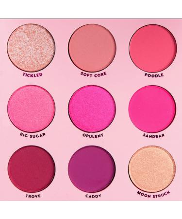 Colourpop Eyeshadow Palette OOH LA LA - Pink Monochromatic Shades  0.3 Ounce  Powder
