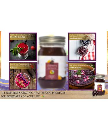 Organic Elderberry Sea Moss Gel 16oz - USDA Certified, Wildcrafted from Saint Lucia - Made in The USA - Buy Online on GoSupps.com