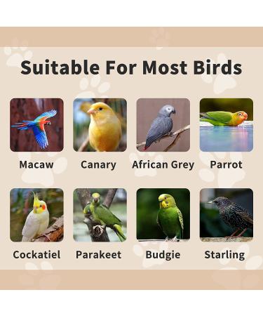 BNOSDM Bird Water Feeder - Parakeet & Parrot Water Dispenser for Cage | Automatic Drinking Device & Cage Accessories for Cockatiel, Conure, Lovebird & Finch - Buy Online on GoSupps.com