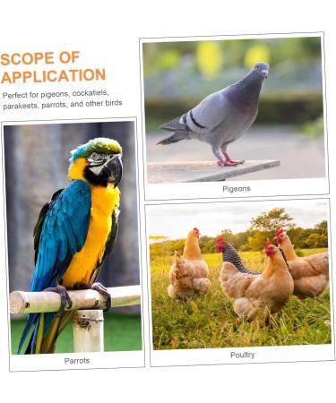 100 pcs Xuan Feet Charms Colorful Hen Leg Drumstick Number Products Stuff Identification Pigeons 1.3X1.3CM Orange - Buy Online on GoSupps.com