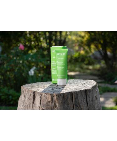 Weleda Skin Food Light Moisturizing Cream 3-Pack - Fast-Absorbing Ultra-Hydrating Formula with Sunflower Oil & Pansy Extract - 2.5 Fl Oz - Buy Online on GoSupps.com