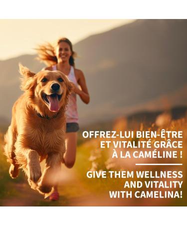 Camelina Oil for Dogs & Cats 500mL by Olimega Farm | High in Omega-3 & Vitamin E | Support for Healthy Joints Coat & Skin (500 ml (Pack of 2) Camelina Oil) Camelina Oil 500 ml (Pack of 2) - Buy Online on GoSupps.com