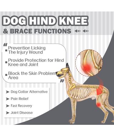 XXL Gray Dog Body Suit for Post-Op Recovery | Wound Protection for Dogs | E-Collar Alternative | Hjyokuso Dogebody - Buy Online on GoSupps.com