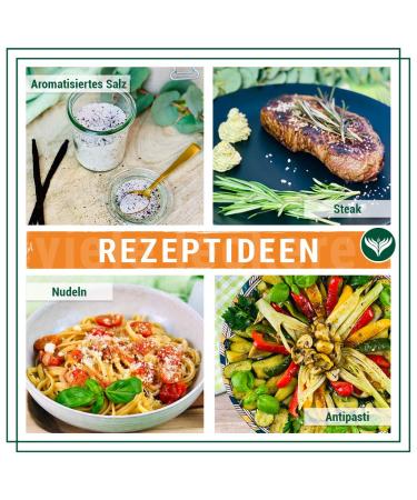 Buy Azafran Flor de Sal 1kg - Premium Fleur de Sel from Portugal | International Shipping Available - Buy Online on GoSupps.com