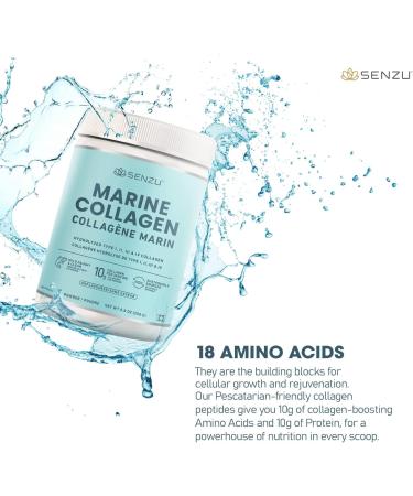 Premium Marine Collagen Powder | Wild-Caught from North Atlantic | Supports Hair Nail Skin Health Pure Hydrolyzed Form Tasteless - 250g - Made in Canada - Buy Online on GoSupps.com
