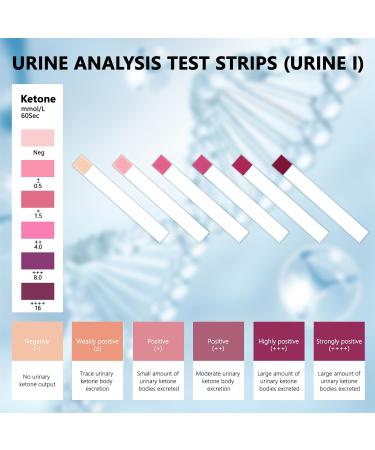 Buy Urine Ketone Test Strips URS-1K - 100 Professional Home Ketosis Tests for Rapid Analysis - Buy Online on GoSupps.com