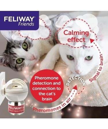 FELIWAY Friends 30 Day Refill helps to reduce conflict in multi-cat households helping cats get along better - 48ml Red Pack of 1 - Buy Online on GoSupps.com
