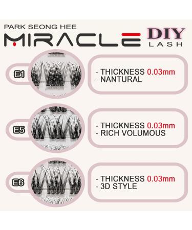 Park Sung Hee Miracle Lash DIY False Eyelashes - Lengthening 9mm-16mm Lash Clusters Contact Lens Friendly Easy to Apply Reusable Strip Lashes (E5-280 13mm - Buy Online on GoSupps.com