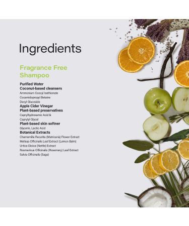 Phillip Adam Fragrance Free Shampoo 12 fl oz - Gentle & Sulfate-Free Formula - Buy Online on GoSupps.com