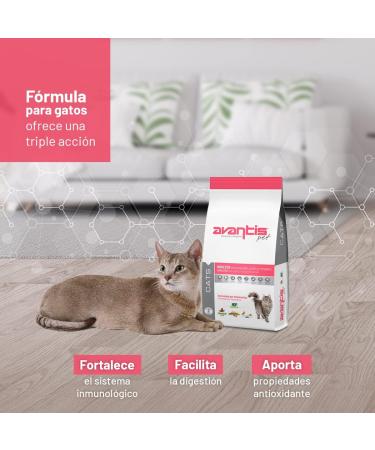 Avantis Pet Cats Adult Cat Food - 2 kg - Easily Digestible with Fish Chicken and Cereals - 100% Complete and Balanced Dry Food - Buy Online on GoSupps.com