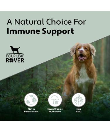 Four Leaf Rover Seven 'Shrooms - Organic Mushroom Complex for Dogs - Immune Support with Beta Glucans - Vet Formulated - Buy Online on GoSupps.com