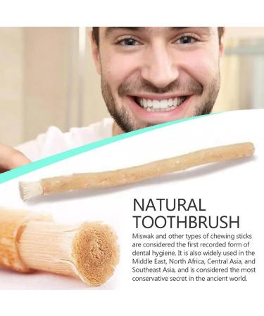 Practical Wooden Toothbrush for Men & Women - Clean Hard-to-Reach Areas | Home Use Miswa - Buy Online on GoSupps.com