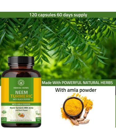 Organic Neem Turmeric Capsules with Amla & Black Pepper - 120 Veg Capsules | 60 Days Supply - Buy Online on GoSupps.com