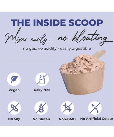 Cure veda PRO Organic Plant Protein Powder - Vegan Pea Rice & Quinoa Isolate 20g Protein Easy to Digest Vanilla Flavour (500g) - Superfood & Superseeds - Buy Online on GoSupps.com