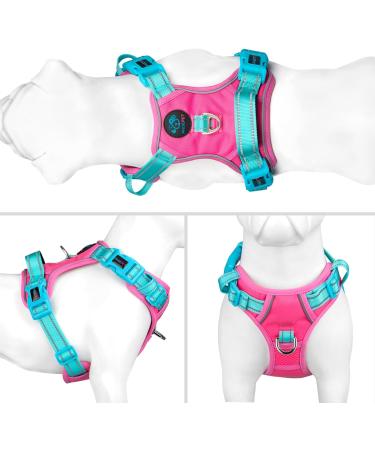 Phoepet No Pull Dog Harness - Reflective Vest with Soft Training Handle for All Sizes (Pink & Green) - Buy Online on GoSupps.com