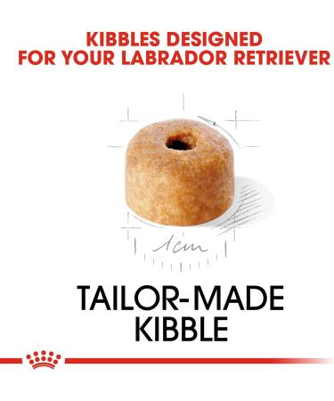 Royal Canin Dog Food Labrador Retriever Puppy Dry Mix 12kg 12 kg (Pack of 1) - Buy Online on GoSupps.com