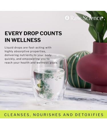 Organic Chlorophyll Liquid Drops for Energy Boost & Immune Support - Made in USA | Fast Absorbing & Detox Supplement - Non GMO Vegan Formula - Buy Online on GoSupps.com