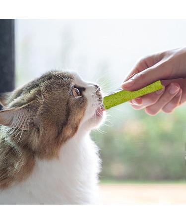 Toliya Cat Sticks - Cat Chew Sticks | Natural Ingredients Cat Teeth Grinding Stick | Natural Cat Chew Stick Eliminates Bad Breath Cleans - Buy Online on GoSupps.com