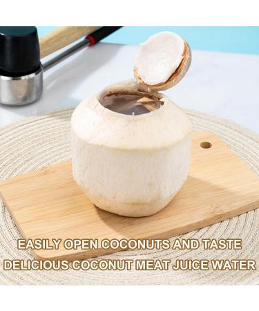 Petyoung Coconut Opener Tool Set Stainless Steel Coconut Opener with Rubber Hammer Lightweight and Easy to Carry Super Safe and Easy to Open Young Coconuts Tool - Buy Online on GoSupps.com