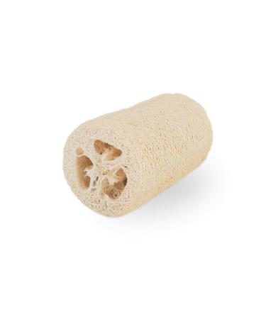 Loofah Moments Luffashwamm |Plastic -free & unmatched |Natural sponge from Luffa |Shower sponge & peeling |approx. 10.5 cm 1 piece (1 Pack) - Buy Online on GoSupps.com