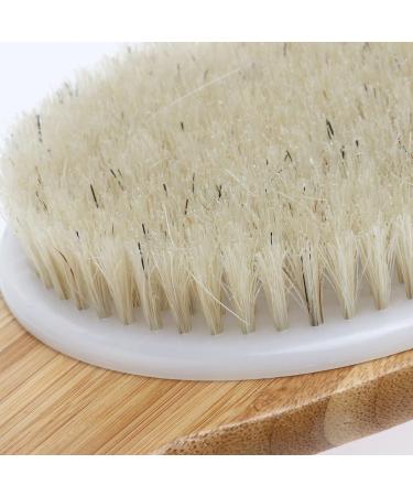 ULTNICE Long Handle Bath Brush - Body Brush for Shower & Bath | International Shipping Available - Buy Online on GoSupps.com