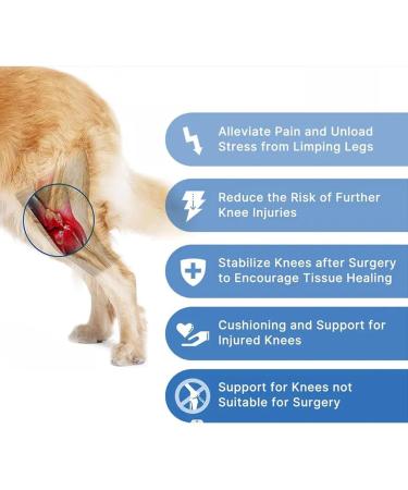 Dog Knee Support Brace - Rear Leg Brace Support Dog Knee Brace Neoprene Hip Brace Adjustable Traction Belt for Knee for Cruciate Ligament Injury for Torn ACL Leg L right - Buy Online on GoSupps.com