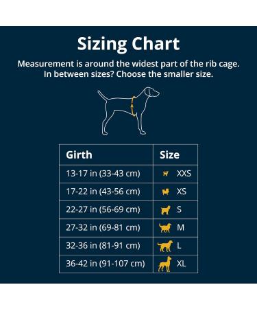 Shop Luffwear Front Range Dog Harness | Reflective Adjustable & Comfortable - Perfect for Walks & Races | Blue Pool M - Durable & Stylish - Buy Online on GoSupps.com
