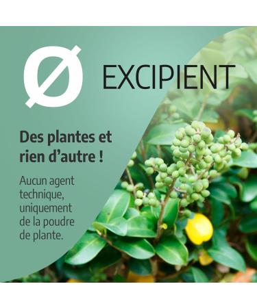 Guggul 330mg - 200 capsules - Buy Online on GoSupps.com