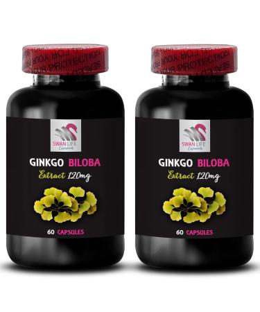 Ginkgo biloba antioxidant Capsules - Ginkgo BILOBA Extract - Botanical antioxidant Formula Natural antioxidant Product Ginkgo biloba Leaf Benefits Plant-Based Wellness Support 2 Bottles 120 Caps