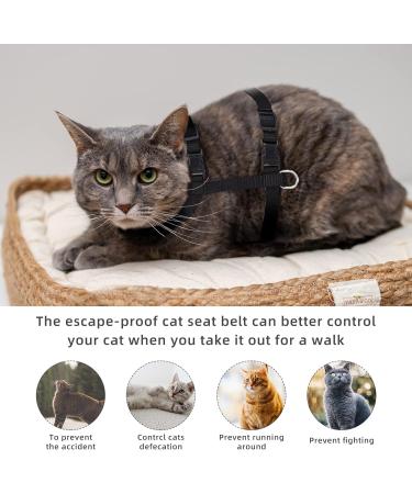 Adjustable Cat Harness & Leash Set - Escape-Proof Vest for Small Cats & Rabbits | 2 Pack with Pet ID Tags - Buy Online on GoSupps.com