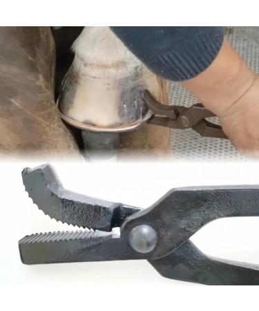 XTDTMTC Horseshoe Nail Clippers Curved Nail Clippers 14 inch (Approximately 35.6 cm) Horseshoe Nail Clippers Horseshoe Nail Clipper Care Tool Steel Horseshoe Pliers - Buy Online on GoSupps.com