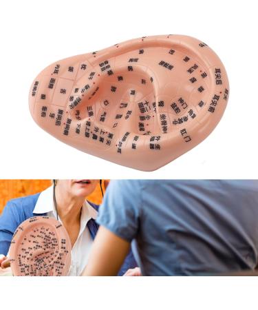 Buy Ear Zone PVC Acupuncture Point Model - Reflexology Teaching Aid for International Shipping - Buy Online on GoSupps.com