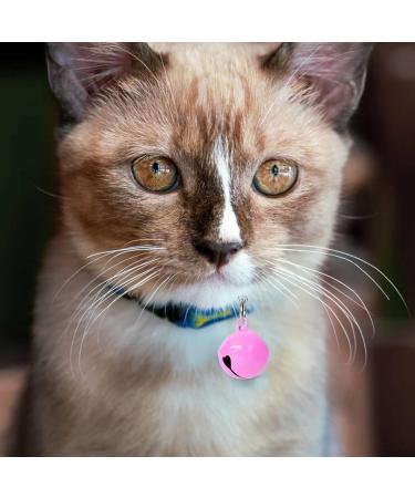 Shop Cobee Cat & Dog Collar Bells Colorful Jingle Bells for Pets | Festival DIY Craft Decoration - Buy Online on GoSupps.com