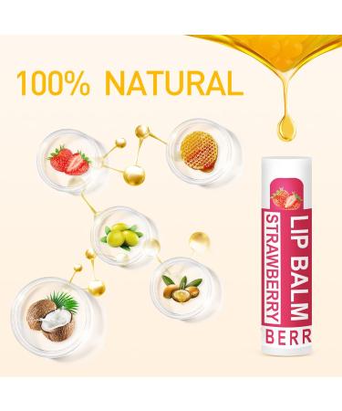 24-Pack DMSKY Vitamin E Lip Balm with Coconut Oil SPF 15 - Moisturizing Chapped Lips - 12 Natural Flavors - Green Pack - Buy Online on GoSupps.com