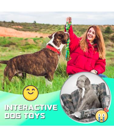 XL Dog Chew Toys for Aggressive Chewers Large Breed 14 Pack Tough Indestructible Dog Toys for Aggressive Chewers Durable Puppy Chew Toys for Teething Heavy Duty Cotton Dog Rope Toys for Large Dogs - Buy Online on GoSupps.com