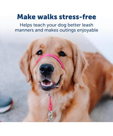 PetSafe Gentle Leader Collar Small (Up to 25 Lbs) - Training DVD Included - Raspberry Pink | International Shipping Available - Buy Online on GoSupps.com