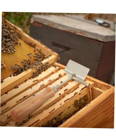Mipcase 2pcs King Partition Cleaning Shovel Household Beekeeping Shovel Beekeeper Hive Tool Cleaner Beehive 21x6.2cmx2pcs As Shownx2pcs - Buy Online on GoSupps.com
