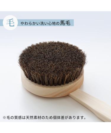 Marna B662 Hinoki Long Handle Body Brush with Horse Hair - Made in Japan | Back Brush for Easy Washing | Removable and Patterned - Buy Online on GoSupps.com