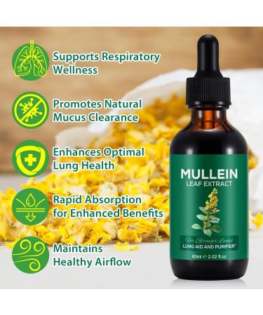 2 Pack Mullein Drops for Lungs Natural Mullein Herbal Supplements Mullein Leaf Extract for Lung Cleanse and Respiratory Support 2.02 fl oz 2.02 Fl.Oz (Pack of 2) - Buy Online on GoSupps.com
