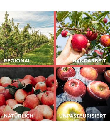 Organic Fairy Apple Cider Vinegar 3L - Unfiltered Natural & Cloudy with Mother - German Production (6x500ml) - Buy Online on GoSupps.com