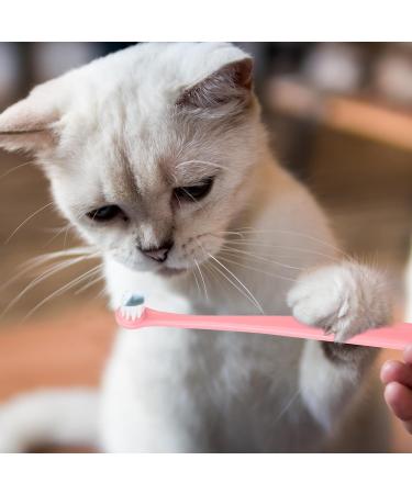 Buy Soft Bristle Pet Toothbrush Set for Small Dogs & Cats - 5 Pcs Round & Pointed Heads Ideal for Puppy & Kitten Dental Care - Buy Online on GoSupps.com