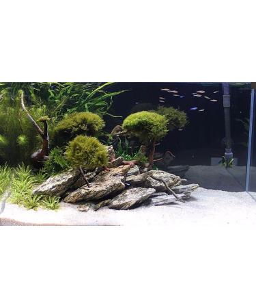 Wyskont Slate Stones - Natural Aquarium & Terrarium Decoration - 1kg Wooden Look Stones & Cave - Premium Aquascaping Accessories - Buy Online on GoSupps.com