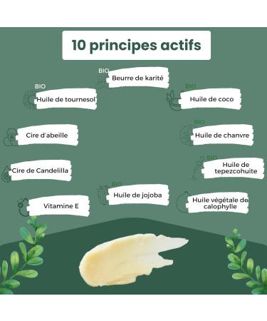 Dog Pad Balm - Repairs hydrates protects - Healing power for damaged dry or cracked pads - Pad and nose protection cream - 100% Natural - 50 ml - Made in France - Buy Online on GoSupps.com