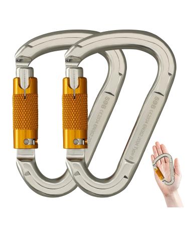 SOB Carabiner Caribeener Clips Heavy Duty Large Alloy Steel D Ring Shape Locking Carabiner for Hammock,Keychain,Outdoor,Camping,Hiking,Dog Leash Harness D-SHAPE Silver