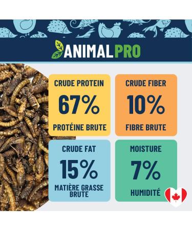 AnimalPro Mealworms and Crickets 227 g - 0 5 LB - Buy Online on GoSupps.com