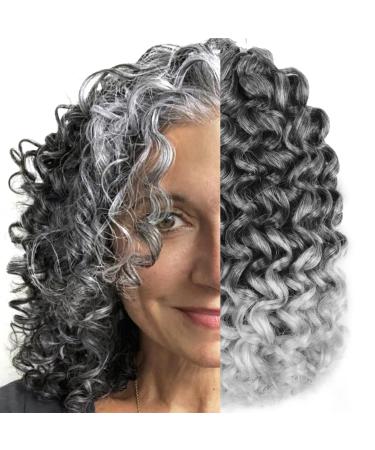 Short Grey Curly Crochet Hair for Black Women 10 inch Water Wave Gogo curl Crochet Hair Ocean Wave Crochet Braids (10inch  TGREY) 10 Inch TGREY