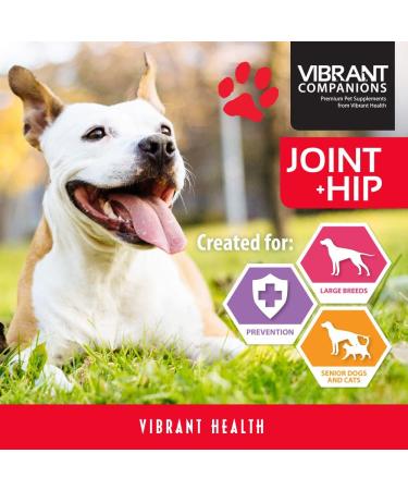 Vibrant Health Joint & Hip Supplement for Dogs & Cats - Beef Liver Flavor, 9.17 oz - Buy Online on GoSupps.com