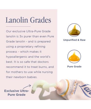 Lanolips Rose Gold 101 Ointment - Natural Lanolin Moisturizer with Blush Color Tints for Lips + Cheeks - Long Lasting Hydrating Balm + Tint - Clean Cruelty-Free (9g) - Buy Online on GoSupps.com