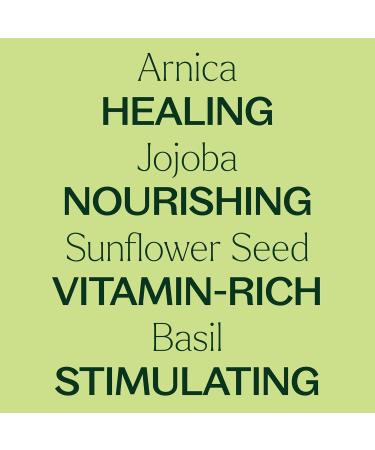 Buy Plant Therapy Nerve Body Oil with Arnica 4 oz | Relieve Discomfort Soothing for Tingling Sensations Nourish Skin - International Shipping Available - Buy Online on GoSupps.com